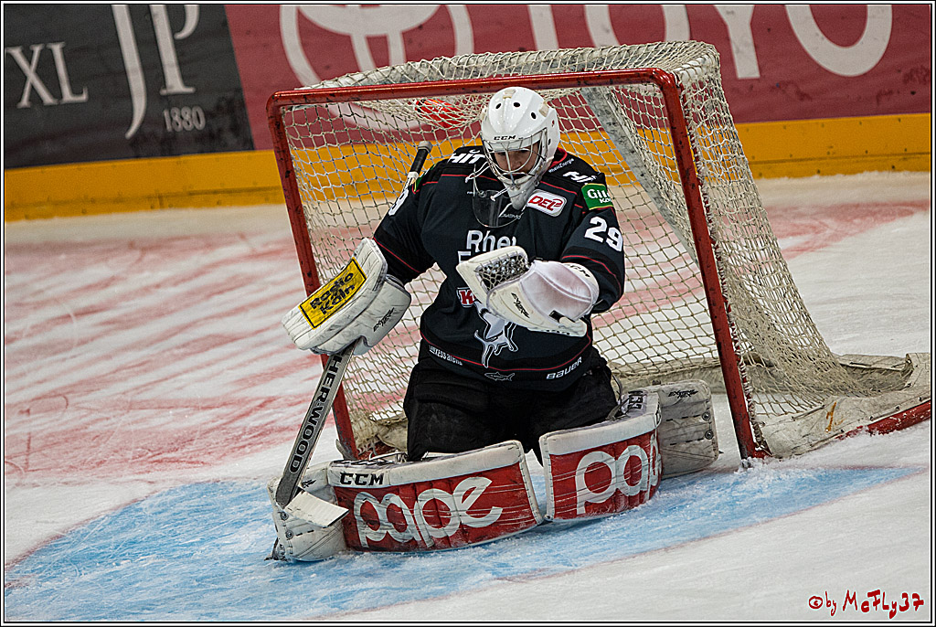 DEL, Koelner Haie - Adler Mannheim, 05.02.2017